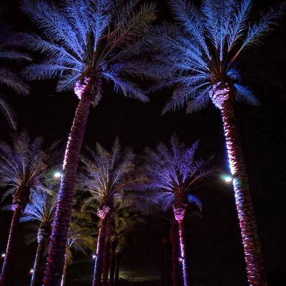 Meet your Posher, Colleen - Picture 4 of 7